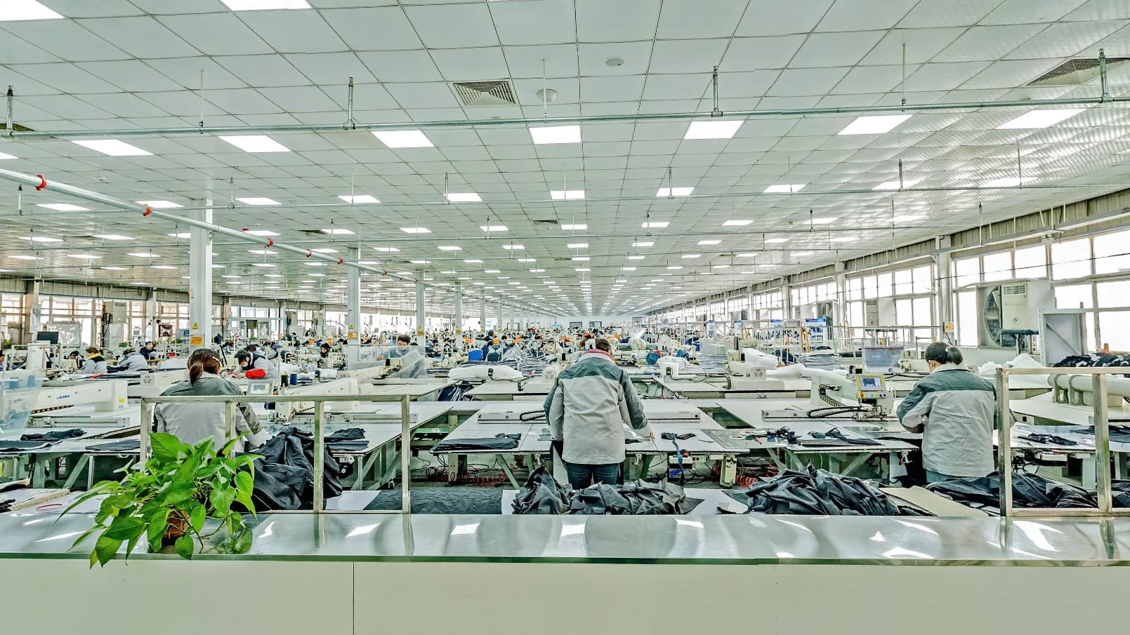 Jining Aisee Garment Co. Ltd.