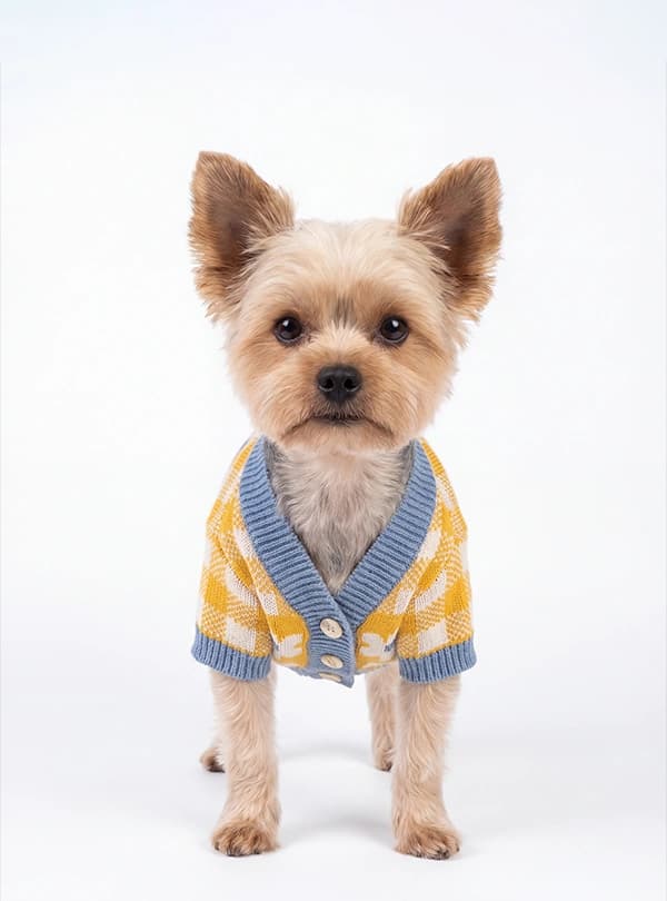 Petwear
