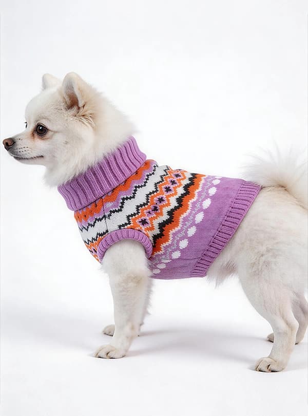Petwear